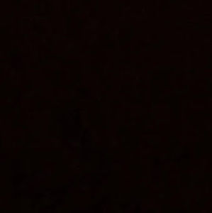 Meet your Posher, Ginna